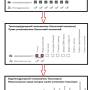 веб_пользователи_схема_иерархии_прав.jpg